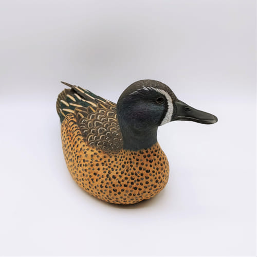 Blue Winged Teal $1900 at Hunter Wolff Gallery
